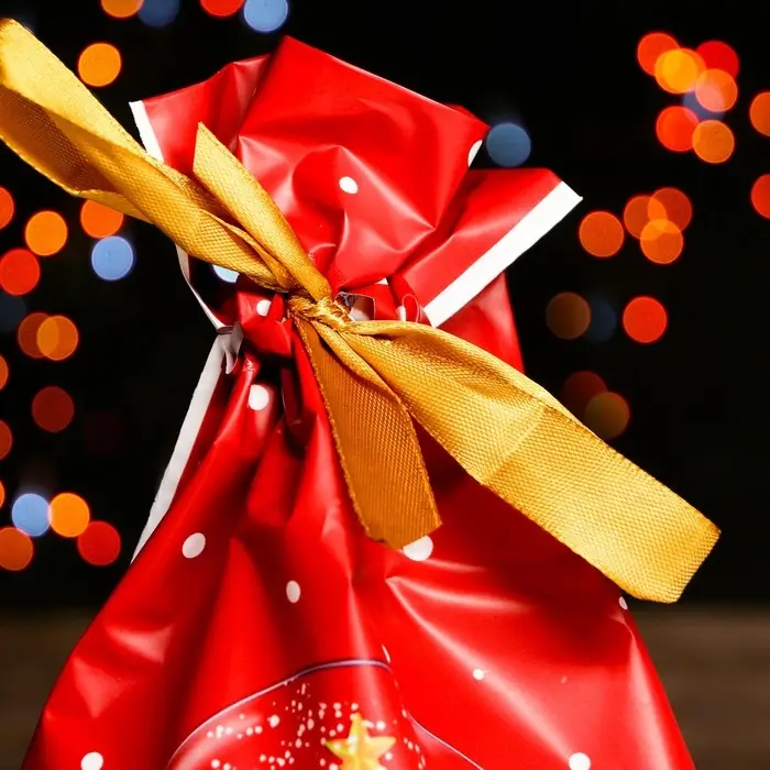 Пакет полиэтиленовый подарочный «Новогодний шар», с завязками, 15×23 см Пакет полиэтиленовый подарочный «Новогодний шар», с завязками, 15×23 см