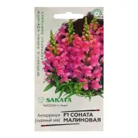 Семена Антирринум "Соната малиновая", ц/п,  F1, 7 шт.