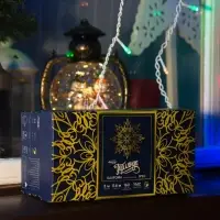 Гирлянда &laquo;Бахрома&raquo; 3&times;0.6 м, IP44, УМС, белая нить, 160 LED, свечение мульти, 220 В