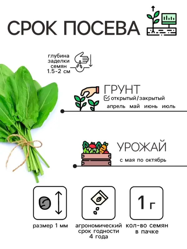 Семена Щавель "Бельвильский", 1 г