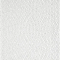 Полотенца бумажные д/дисп. Luscan Professional Zслож2слбелцел200л