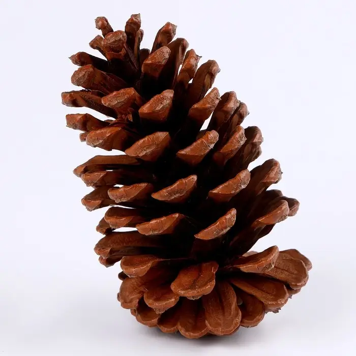 Новогоднее декоративное украшение «Шишка», 8×8×11 см