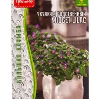 Семена Экзакум Midget Lilac родственный 10шт. 12.29 г.