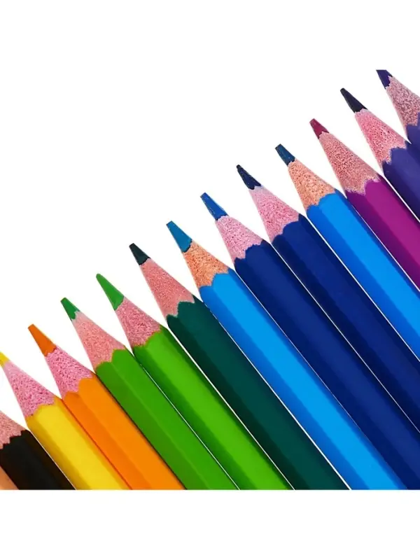 Карандаши Calligrata, цветные, 24 цвета, эконом, шестигранные, пластиковые, пенал-футляр и 3 чернографитных карандаша с ластиком в ПОДАРОК, МИКС