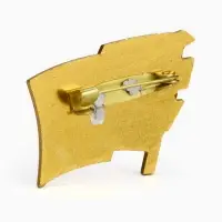 Значок «СССР», 2×3 см, цвет красный в золоте