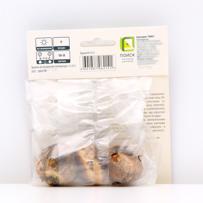 Гладиолус крупноцветковый «Астарта», луковица цветов в пакете с перфорацией, р-р 10/12, 3 шт.