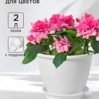 Горшок для цветов с поддоном Доляна &laquo;Арена&raquo;, 2 л, цвет белый