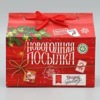 Коробка для сладостей «Новогодняя посылка», 10 х 18 х 14 см