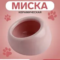 Миска для грызунов, 30 мл, 5.7&times;5.7&times;3.5 см, со скошенным краем, керамика, розовая