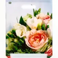 Пакет &laquo;Романтическое настроение&raquo;, полиэтиленовый с вырубной ручкой, л 40&times;31 см, 60 мкм