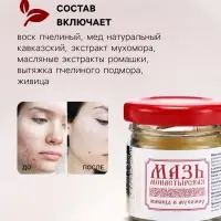 Мазь натуральная заживляющая Живица и мухомор, &laquo;Святая рука&raquo;, 30 мл