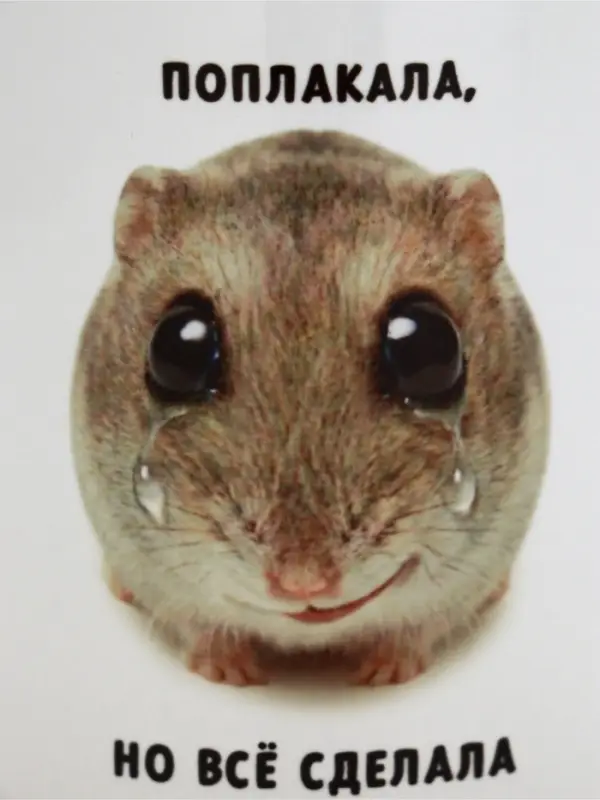 Кружка керамическая &laquo;Поплакала, но все сделала&raquo;, 320 мл