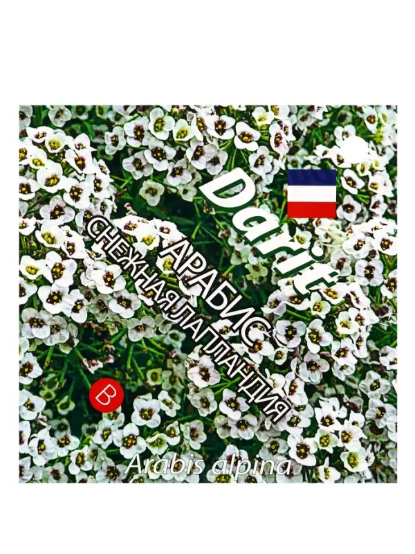 Семена цветов Арабис "Снежная Лапландия", 0,2 г