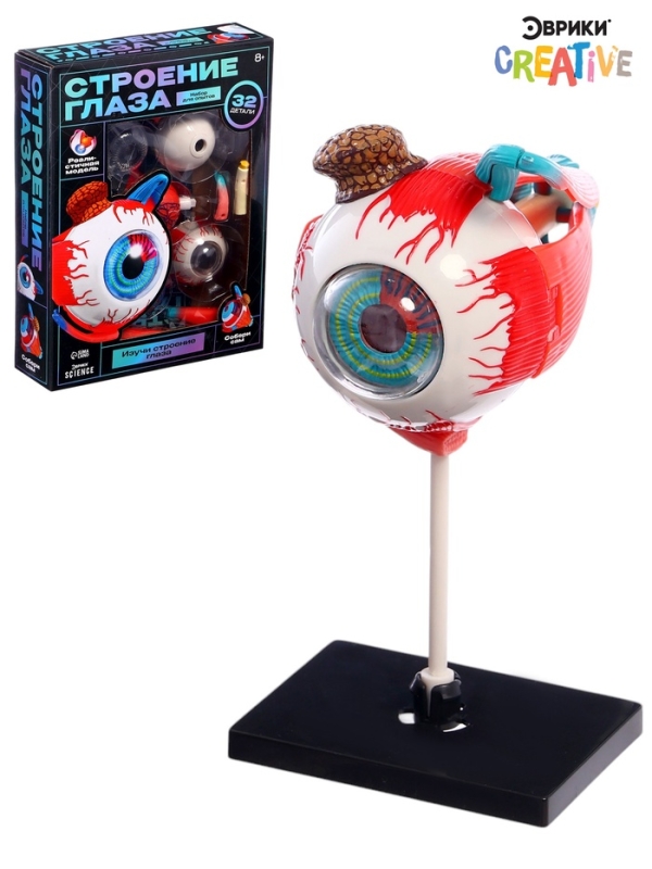 ЭВРИКИ Набор для опытов "Строение глаза", анатомическая модель