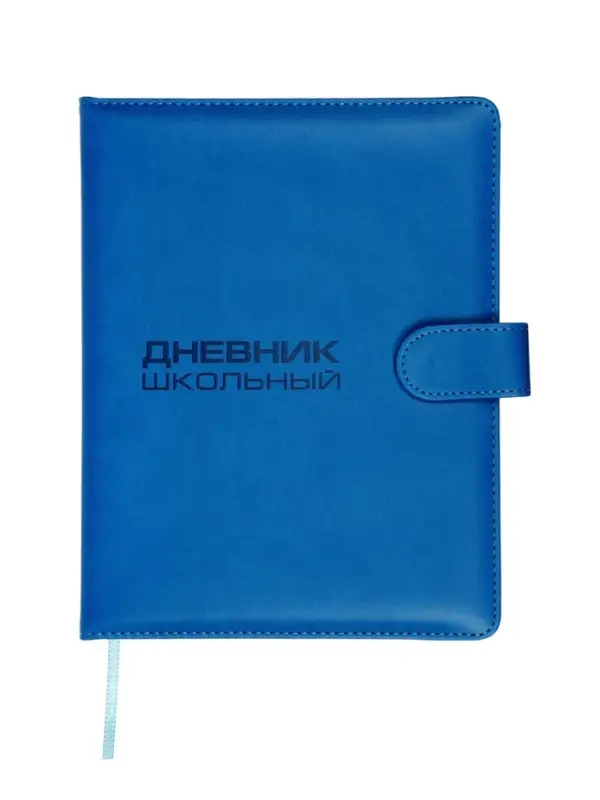 Дневник школьный 1-11 класс, ляссе, обложка искусственная кожа, с хлястиком, синий