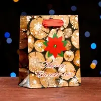 Пакет ламинированный Merry Christmas 11.5×14.5×6 см