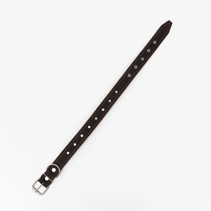 Ошейник &laquo;Строгий шип&raquo;, 70&times;3.5 см, ОШ 45-60 см, кожа, чёрный