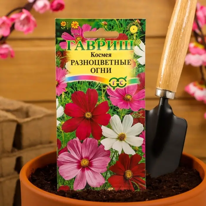 Семена цветов Космея  Семена цветов Космея "Разноцветные огни", ц/п,  0,5 г