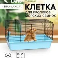 Клетка для кроликов, морских свинок &laquo;Пижон&raquo; №4 складная, 80&times;50&times;47 см, бирюзовая