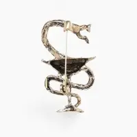 Брошь &laquo;Змея в геральдике&raquo;, медицина, цвет чернёное золото