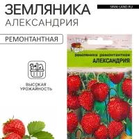 Семена Земляника &laquo;Александрия&raquo;, 0.04 г, ремонтантная, &laquo;Урожай удачи&raquo;