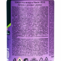 Освежитель воздуха Master FRESH Пачули и розовое дерево сменный баллон, 250 мл