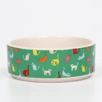 Миска &laquo;Котэ&raquo;, 200 мл, 10.5&times;10.5&times;4 см, керамика, зелёная, белая