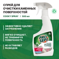 Чистящее средство Prosept Cooky Spray, спрей, для столешниц и раковин из искусственного камня и гранита, 500 мл