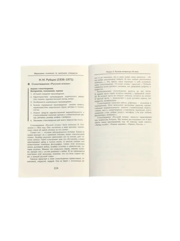 Образцовые сочинения по школьным стандартам, 5-11 классы, Амелина Е.В. 2026