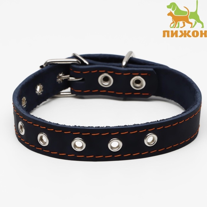 Ошейник кожаный однослойный, безразмерный, 56 х 2.5 см, ОШ 17-44 см, синий Ошейник кожаный однослойный, безразмерный, 56 х 2.5 см, ОШ 17-44 см, синий