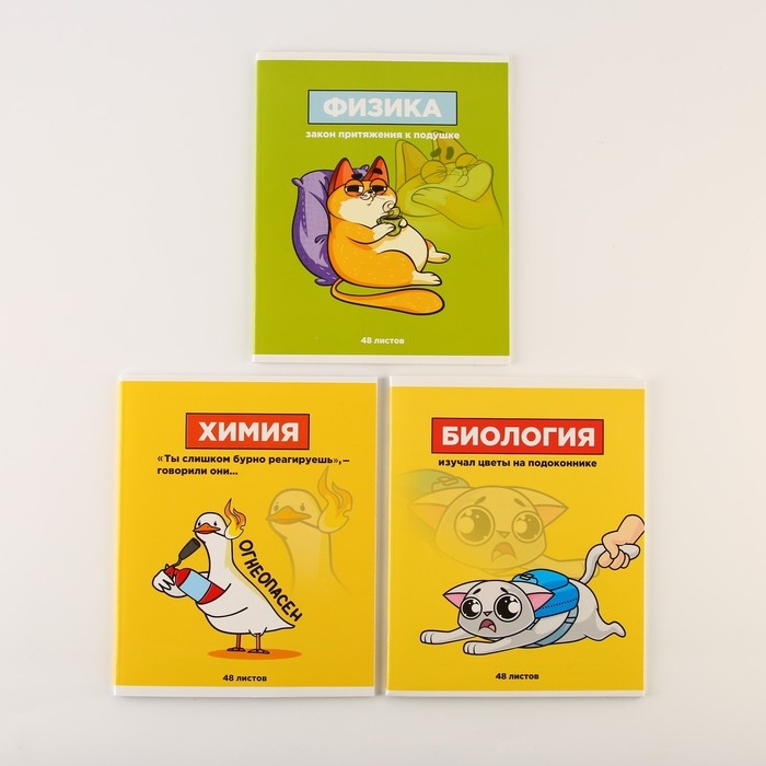 Набор тетрадей А5, 48 л "Персонажи" биология, физика, химия