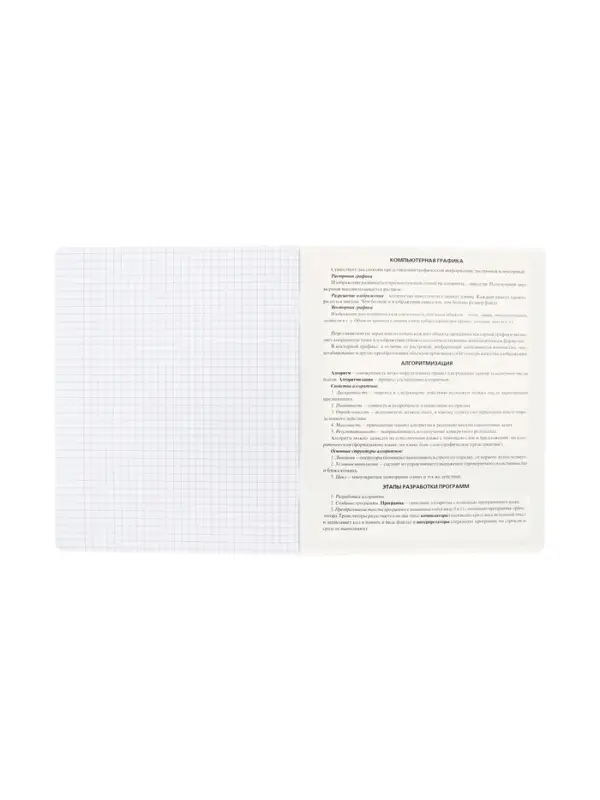 Предметная тетрадь по информатике Hatber &laquo;Буквица&raquo;, 48 листов, в клетку, со справочным материалом, обложка из мелованного картона