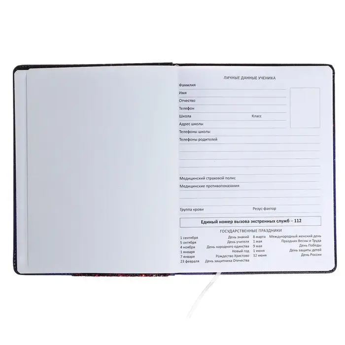 Дневник универсальный для 1-11 класса Galaxy Girl, твёрдая обложка, искусственная кожа, с поролоном, ляссе, 80 г/м2