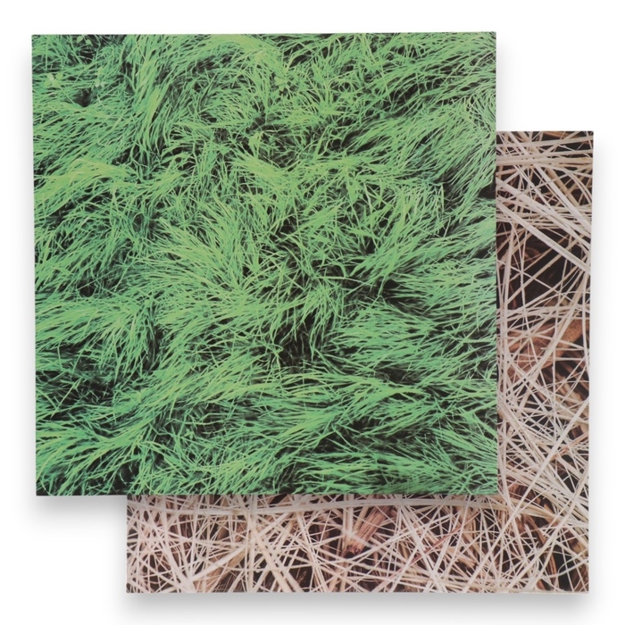 Фотофон двусторонний картон плотность 350 гр Фотофон двусторонний картон плотность 350 гр "Сено и трава" 50х50 см