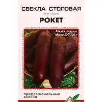 Семена Свекла &laquo;Рокет&raquo;, 90 шт.