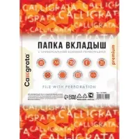 Файл-вкладыш А4, 70 мкм, Calligrata, плотный, глянцевый, вертикальный, 50 штук