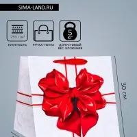 Пакет подарочный &laquo;Бант&raquo; 30&times;30&times;30 см