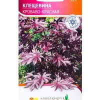 Семена Клещевина &laquo;Кроваво-красная&raquo;, 4 шт., &laquo;Агрос&raquo;