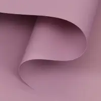 Плёнка для цветов, 57&times;57&plusmn;5%см