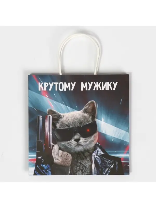 Пакет подарочный, упаковка, &laquo;Мужику&raquo;, 22 х 22 х 11 см