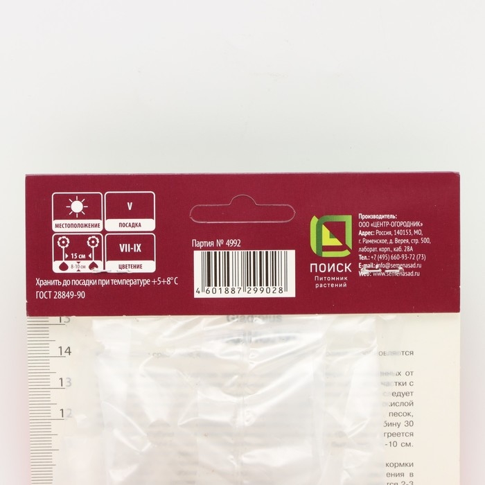 Гладиолус крупноцветковый «Шинон», луковица цветов в пакете с перфорацией, р-р 12/14, 5 шт.