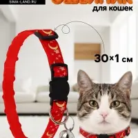 Ошейник для кошек &laquo;Ночь&raquo;,30&times;1 см, с бубенчиком, полиэстер