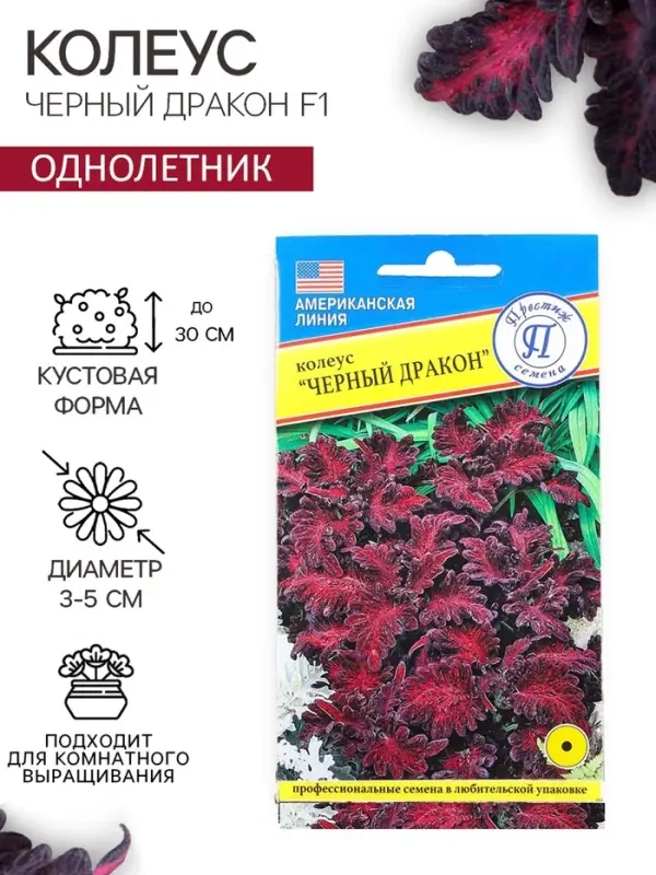 Семена цветов Колеус &laquo;Чёрный дракон&raquo; F1, 10 шт., однолетник, &laquo;Престиж семена&raquo;