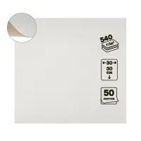 Картон переплётный 0.9 мм, 30&times;30, 50 листов, 540 г/м&sup2;, белый