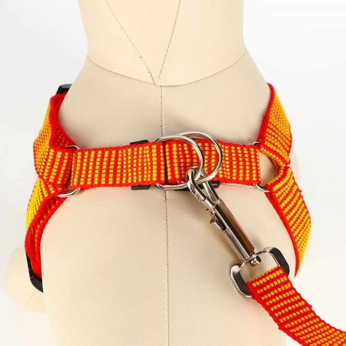 Комплект амуниции рельефный, 2 см, поводок 120 см,красно-жёлтый