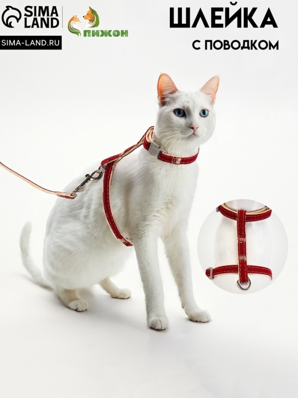 Комплект амуниции "Жаккард", поводок 120 х 1 см, красный