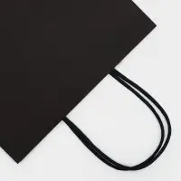 Пакет крафт &laquo;Радуга&raquo;, чёрный, 22&times;13&times;32 см, 80 г/м&sup2;, 1 шт.