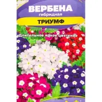 Семена цветов Вербена &laquo;Триумф&raquo;, гибридная, &laquo;Семена Алтая&raquo; 0.05 г