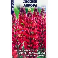 Семена Люпин Аврора /Сотка/ 0,3 г красновато-розовый, многолетн, 60-80см/*1000 Семена Люпин Аврора /Сотка/ 0,3 г красновато-розовый, многолетн, 60-80см/*1000