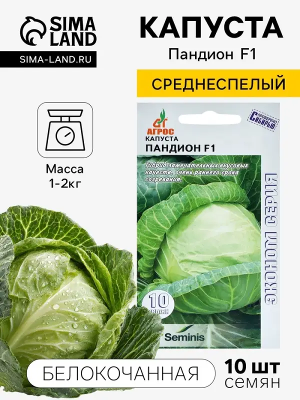 Семена Капуста белокочанная &laquo;Пандион&raquo;, F1, 10 шт., &laquo;Агрос&raquo;